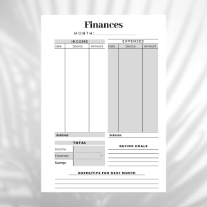 Financial monthly planner