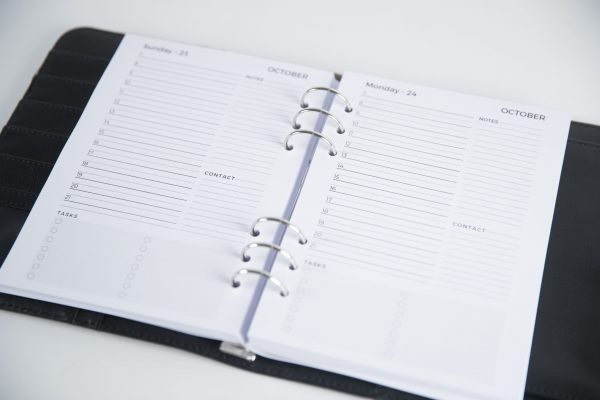 Day planner dated basis 2